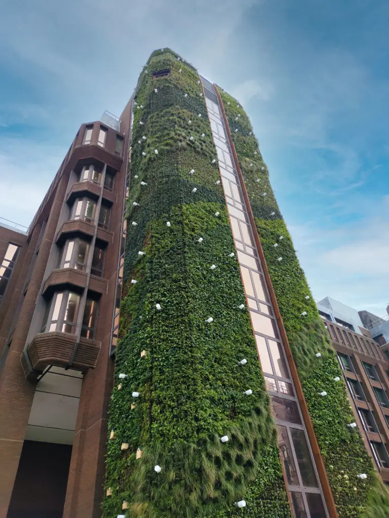 Dukes Court Construction Update March