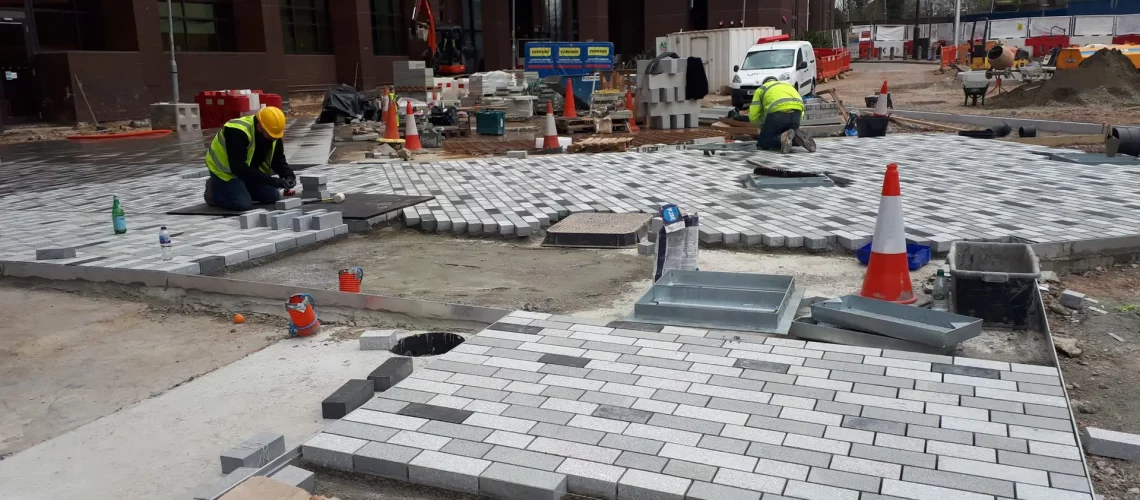 Dukes Court Progress